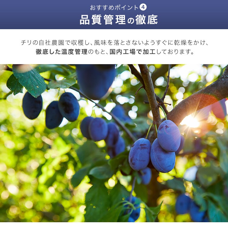 チリ産プルーン 300g×3 （900g） 【代引き不可】4
