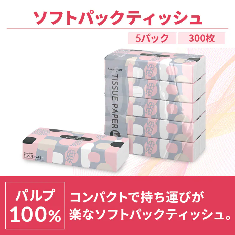 必需消耗品セット(トイレットペーパーダブル12ロール+ティッシュ10パック) 2