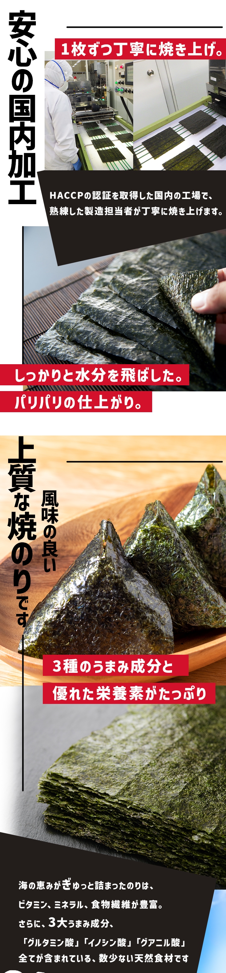 小浅商事 3切海苔 100枚 2