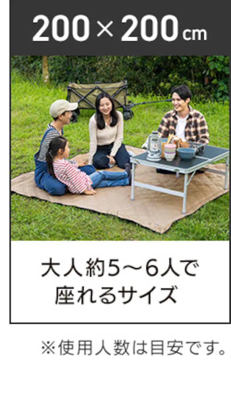 極厚レジャーシート 60×60 全2色【プラザセレクト】7