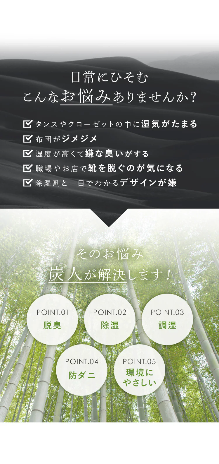 竹炭消臭除湿「炭人」 200g×4個パック【プラザセレクト】2