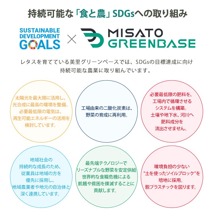 【6個】 つみたてサラダ（レタス） 【時間指定不可】3