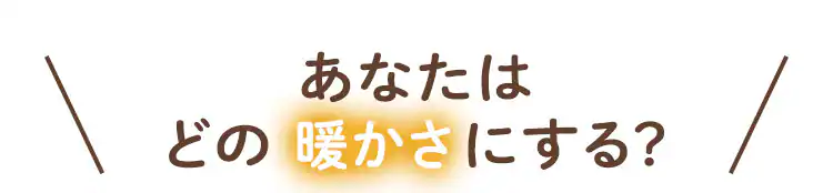 【2点目半額クーポン】シンサレート 掛け布団 セミダブル プレミアムタイプ  モカブラウン 3