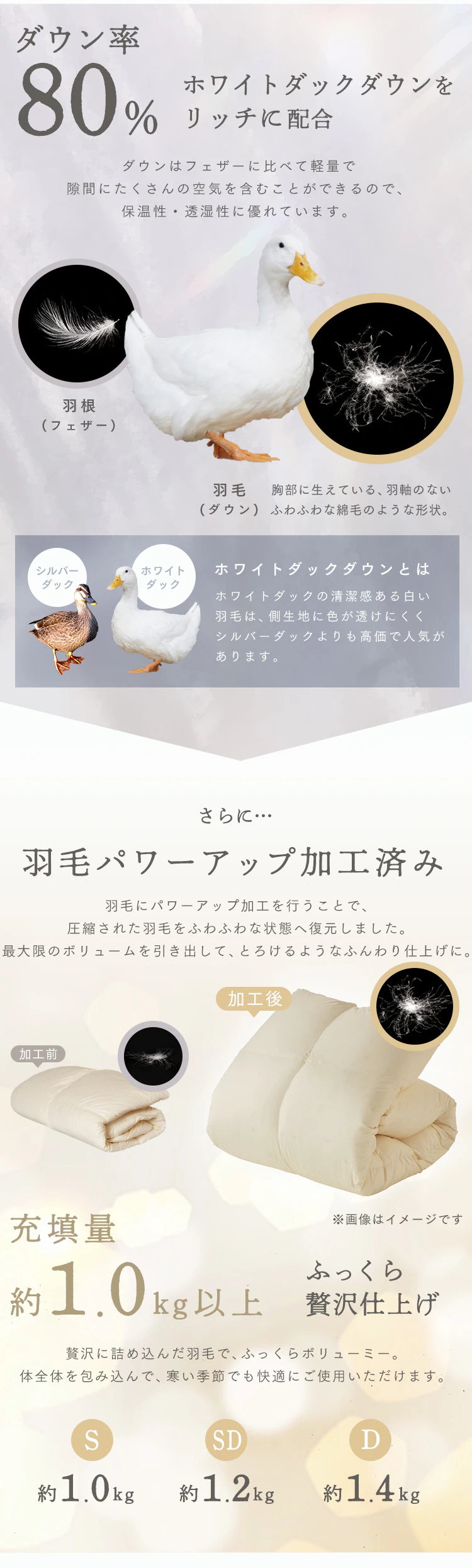 羽毛布団 シングルロング WDD80% 300dp 1.0kg アイボリー2