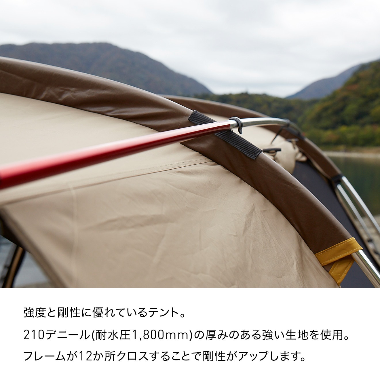 ogawa】アポロン 2788 【代引不可】【同梱不可】【プラザ