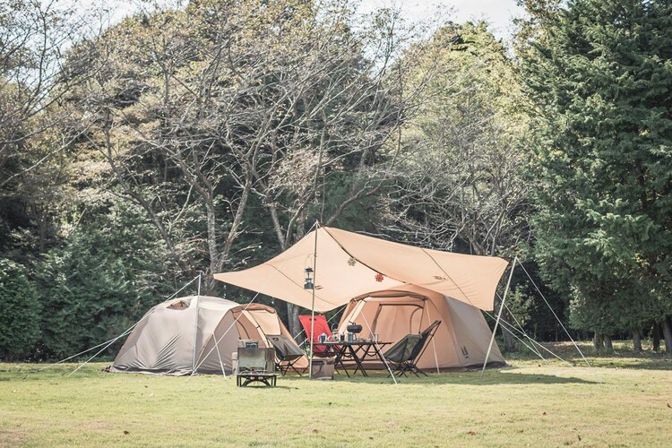 【ogawa】ピスタ34 2657-80 【プラザセレクト】【代引き不可】13