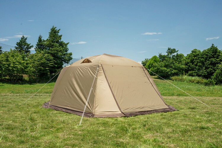 【ogawa】ピスタ5 2656-80 【プラザセレクト】【代引き不可】3