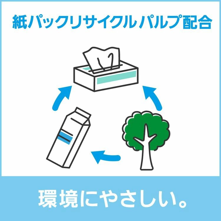 スコッティ キレイの仕上げ ハンドタオル 100組(200枚)5