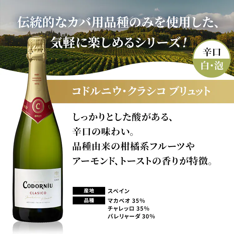 コドルニウCAVA 飲み比べ5本セット 4
