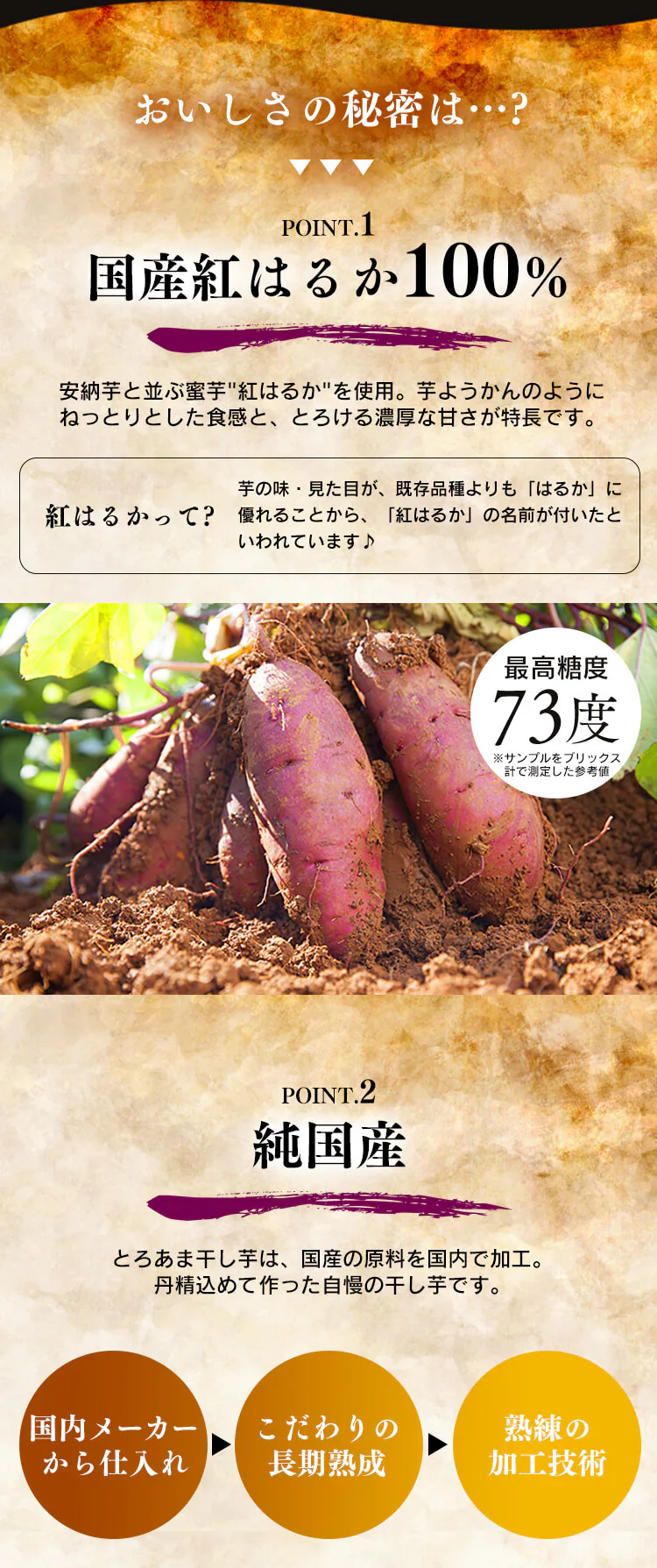 壮関 【10袋】国産紅はるか干し芋 100g 2683 【プラザセレクト】3