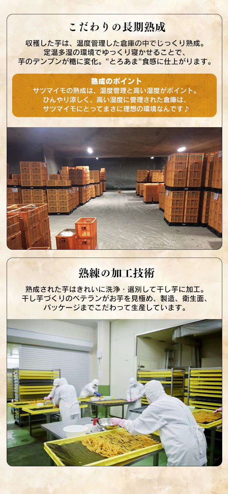 壮関 【10袋】国産紅はるか干し芋 100g 2683 【プラザセレクト】4