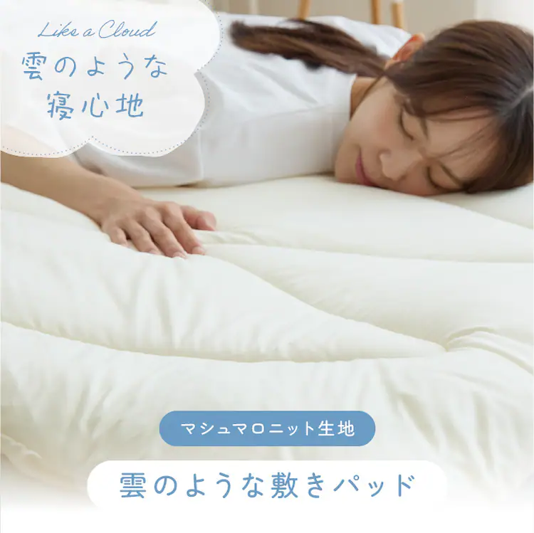 雲の寝心地 敷きパット D サンドベージュ【プラザセレクト】0
