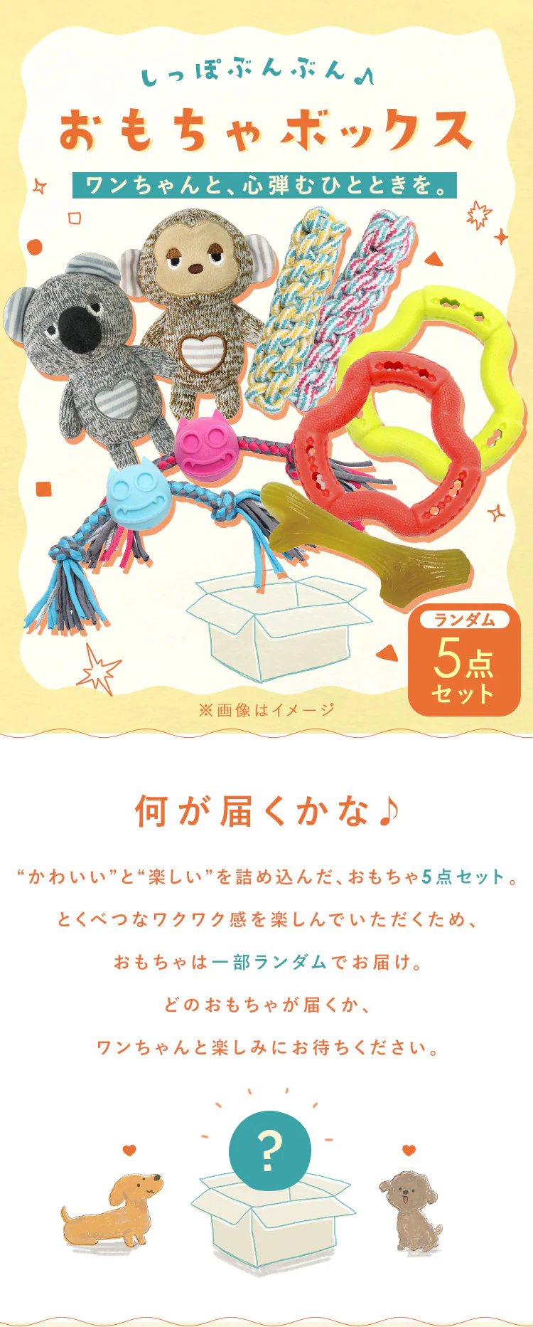 わんこ用おもちゃ ハッピーバッグ5点セット0