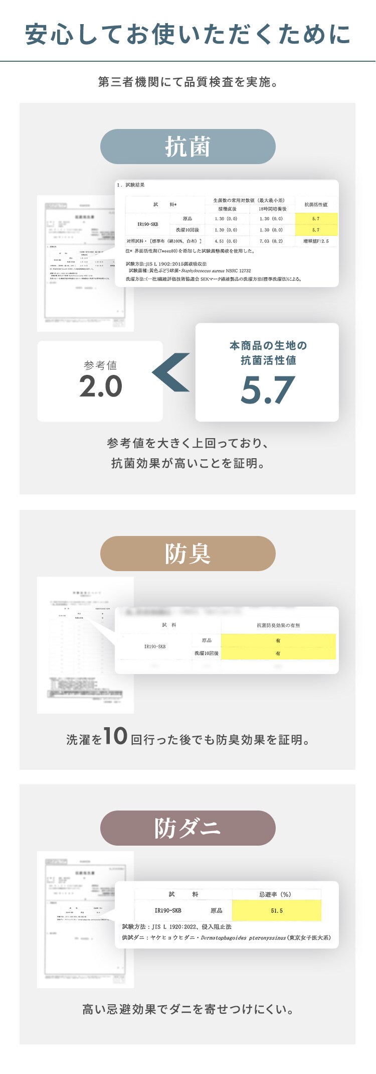 FT掛け布団 シングル ブラウン【プラザセレクト】2