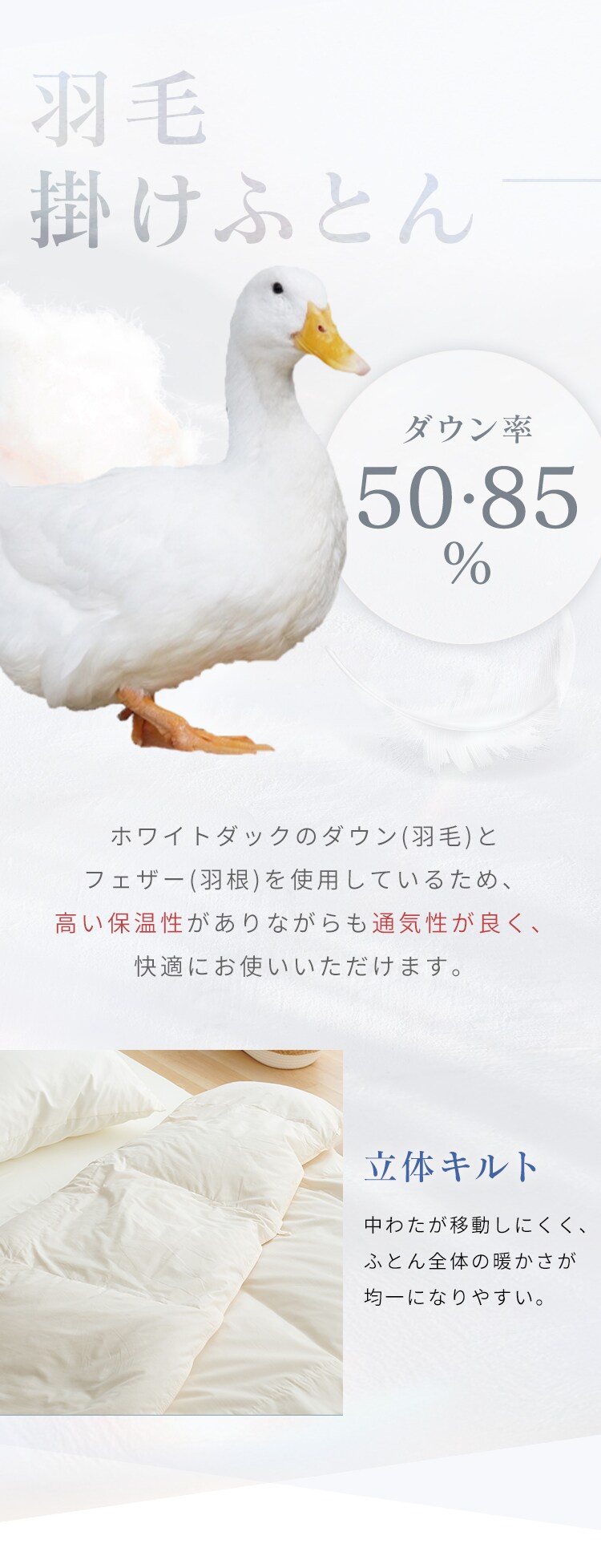 羽毛50％3点セット アイボリー・ホワイト 【代引不可】【同梱不可】【プラザセレクト】1