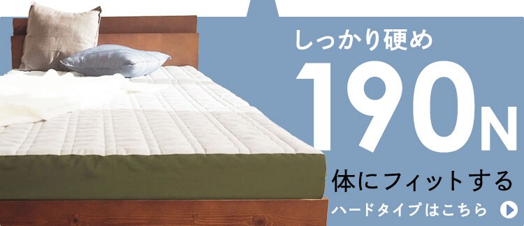 Achilles フロートウェーブ　スーパーハードタイプS ブラウン【時間指定不可】【代引不可】【同梱不可】2