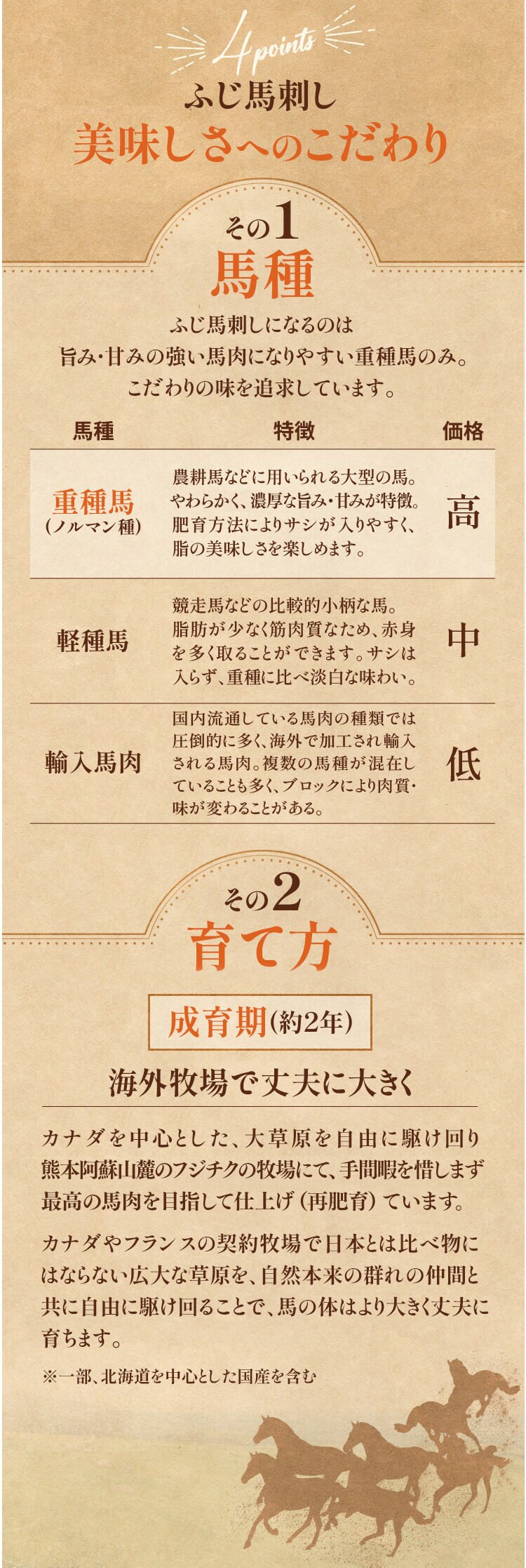 フジチク】ふじ馬刺し おつまみユッケ10個セット 2519 【代引き不可