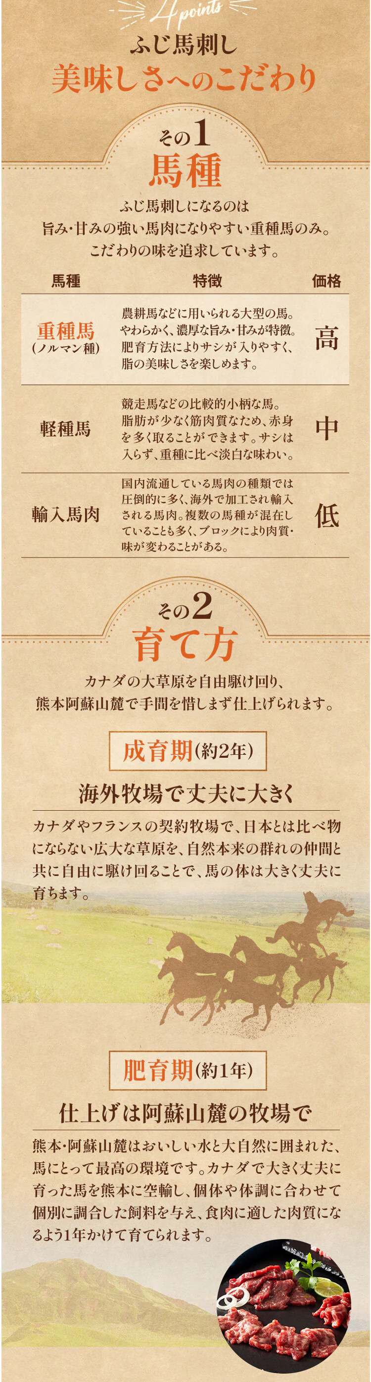 【20%OFFクーポン】【フジチク】ふじ馬刺し詰合せ【雅】2555 7