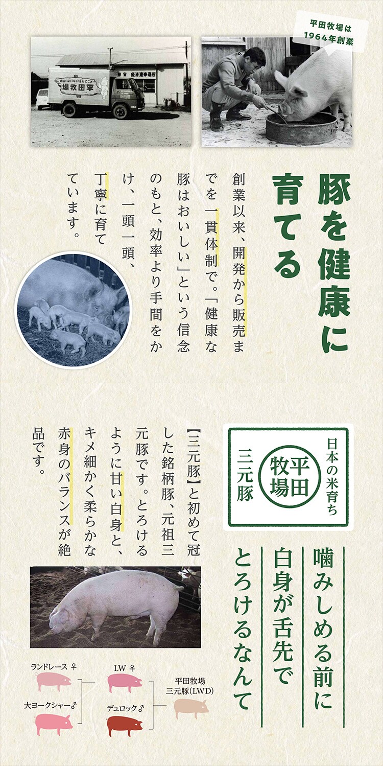 【平田牧場】日本の米育ち三元豚 ハンバーグ&ロールステーキギフト 各4個入 だし2袋入 HSF19-81