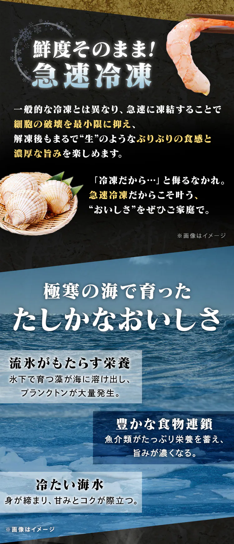 【25%OFFクーポン】甘えび・ほたてセット1