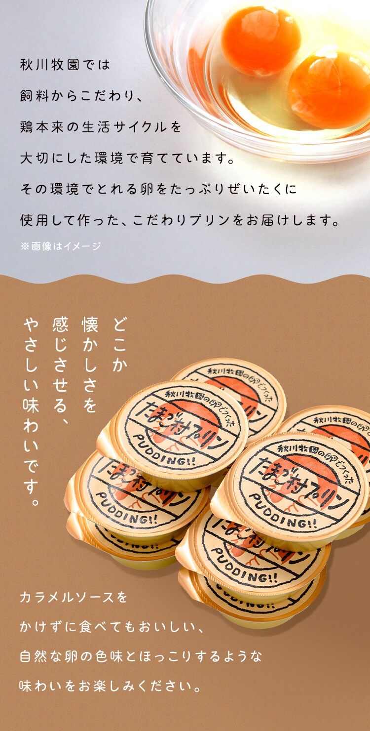 【7％OFF！】【秋川牧園】 秋川牧園の卵でつくったたまご村プリン 10個 AKB-0042