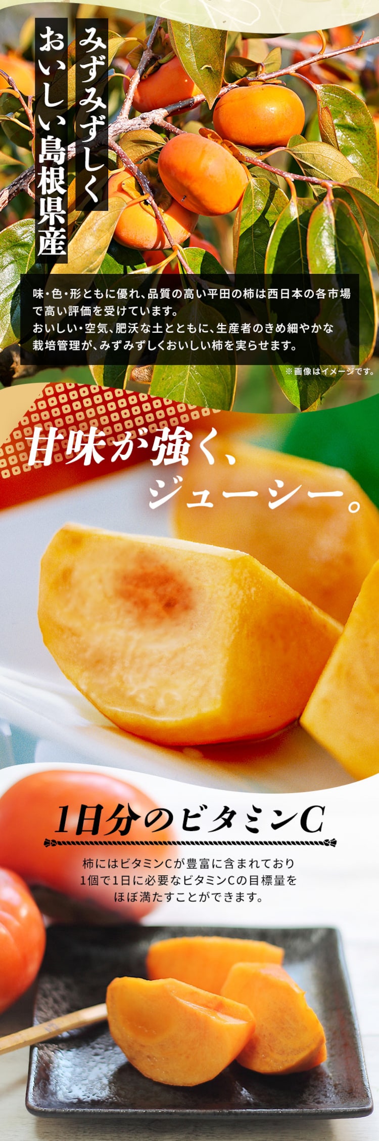 【12%OFFクーポン】ひらたの富有柿 12個 (個包装) FYK-C6S1