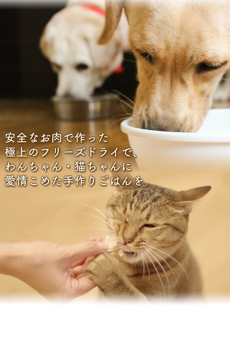 安全なお肉で作った極上のフリーズドライ