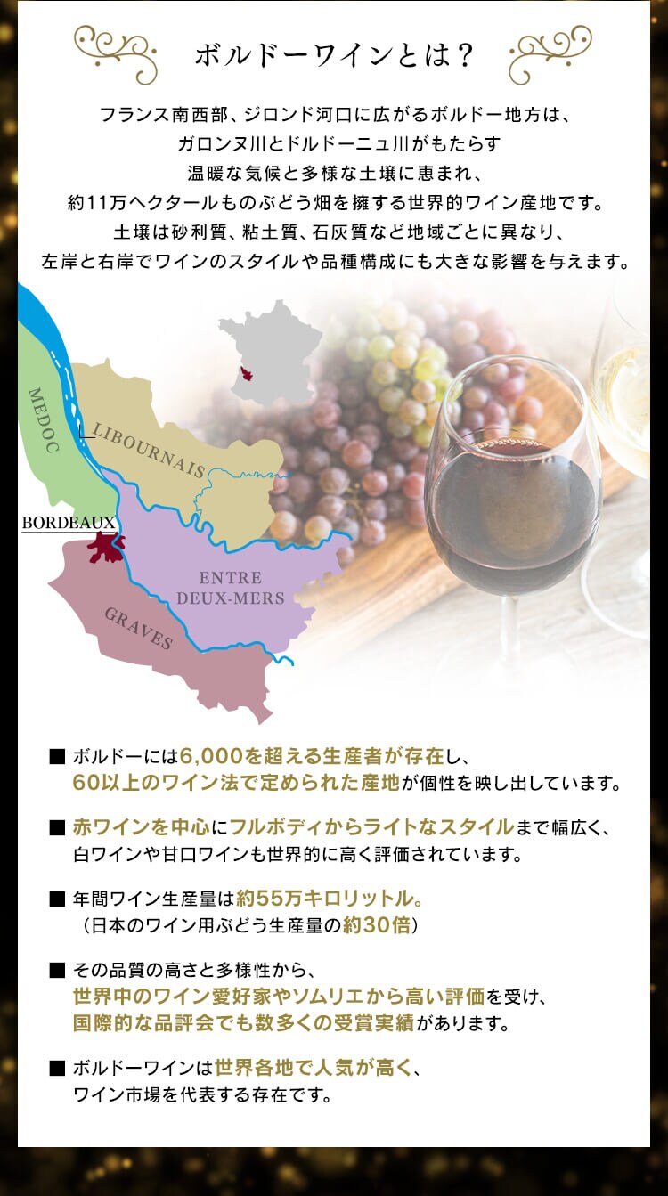 【11490円OFFクーポン配布中！】フランス・ボルドー赤ワイン　金賞　12本セット 2