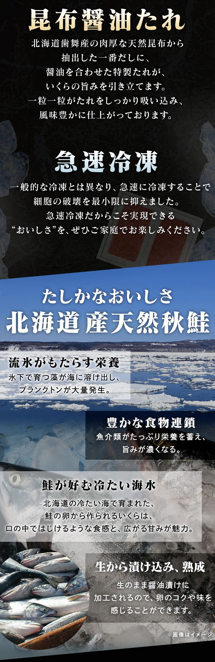 北海道産いくら醤油漬100g&times;2 1