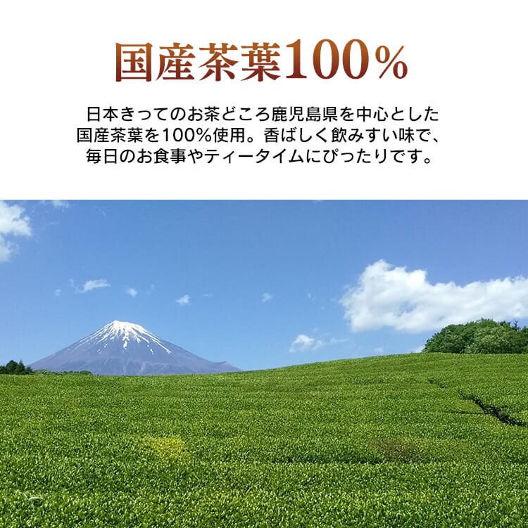 知覧茶 ほうじ茶 ティーバッグ 【プラザセレクト】1