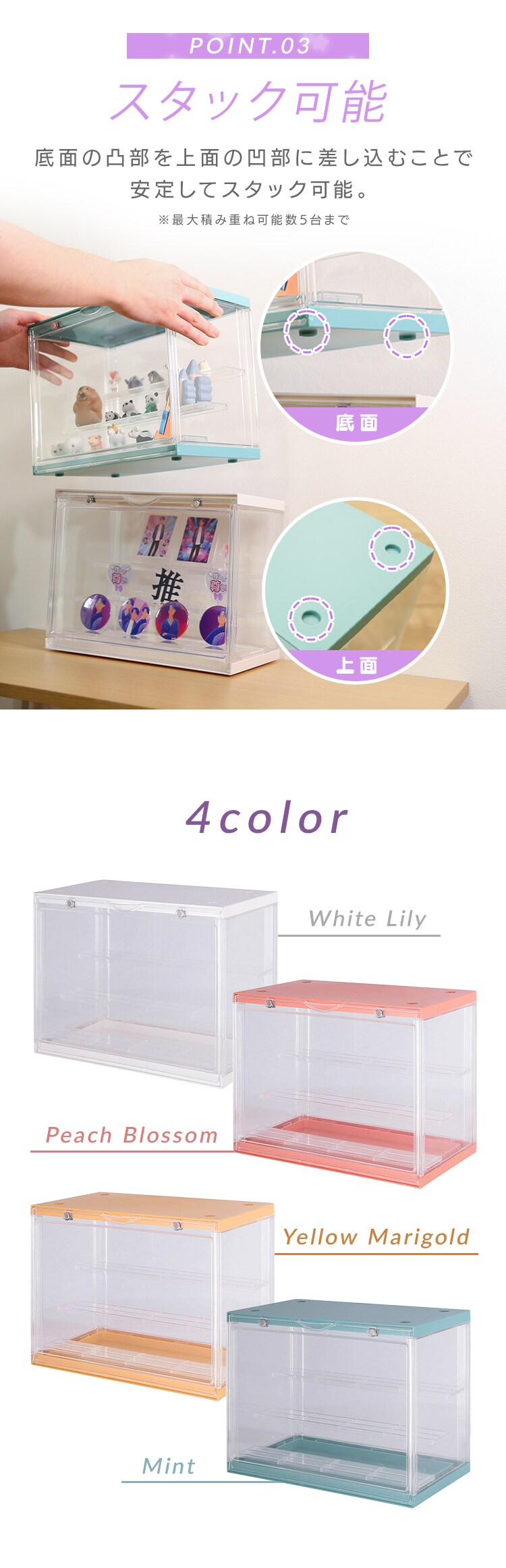 不二貿易 コレクションケース hina 29027 ピーチブロッサム【プラザセレクト】2