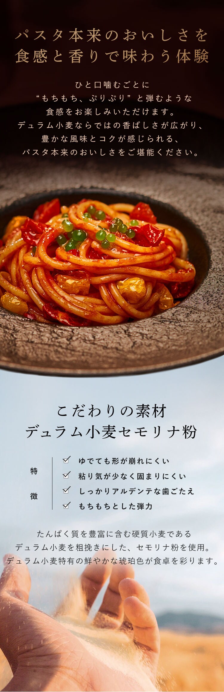 アルブロンゾ スパゲッティ500g 1