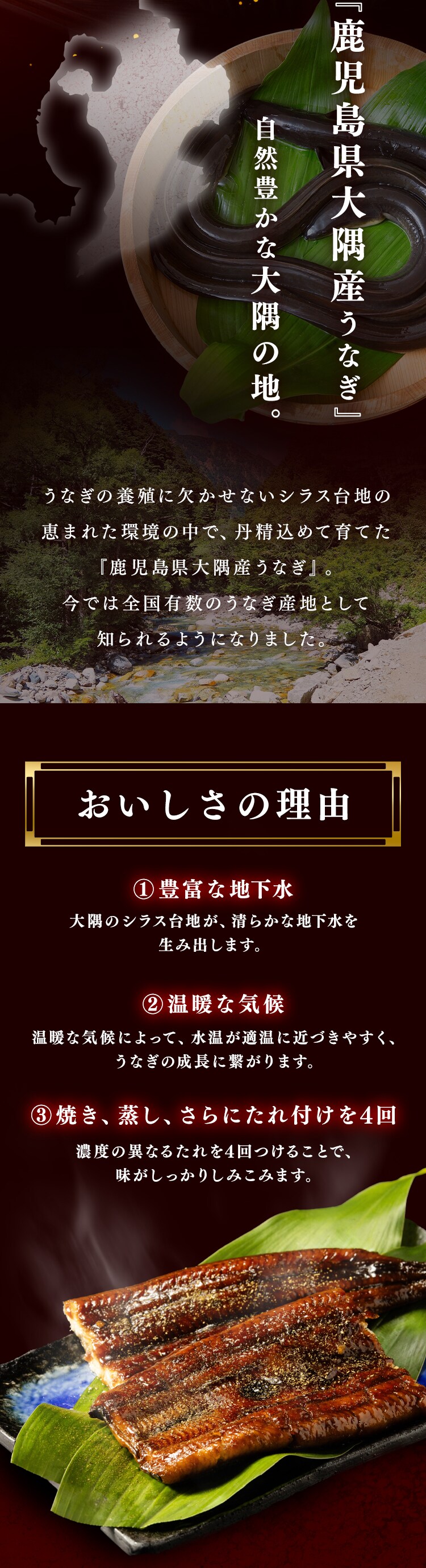 【2026年 母の日】鹿児島県大隅産うなぎ蒲焼2尾320g（160g&times;2尾） たれ・山椒付【お届けは5/6（水）〜5/9（土）】2
