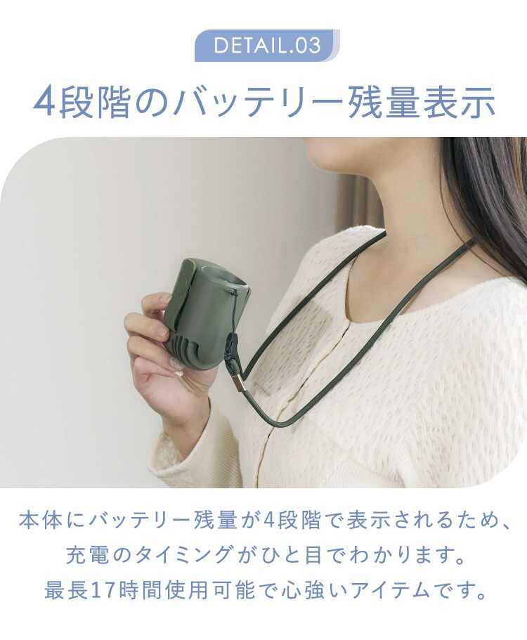 iFan iFan BodyBlow2 IF-BB26 ブルー【プラザセレクト】2