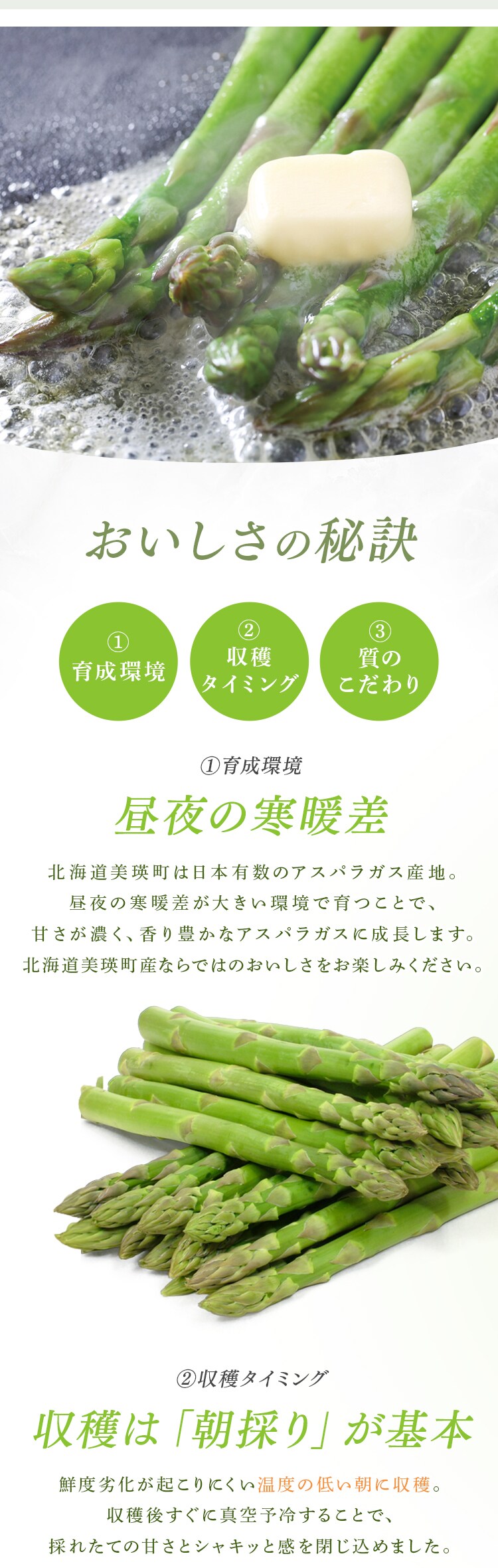 美瑛産グリーンアスパラガス1kg （500ｇ&times;2） 【時間指定不可】【代引不可】【同梱不可】1