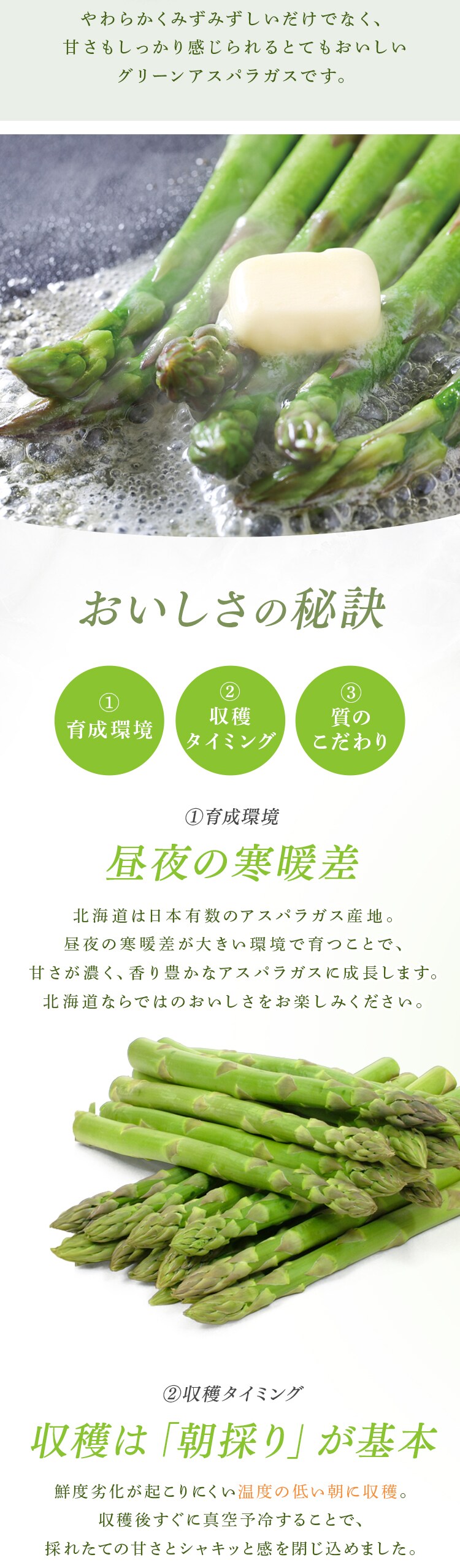 【訳あり】北海道産グリーンアスパラガス800g （400ｇ&times;2） 【時間指定不可】【代引不可】【同梱不可】1