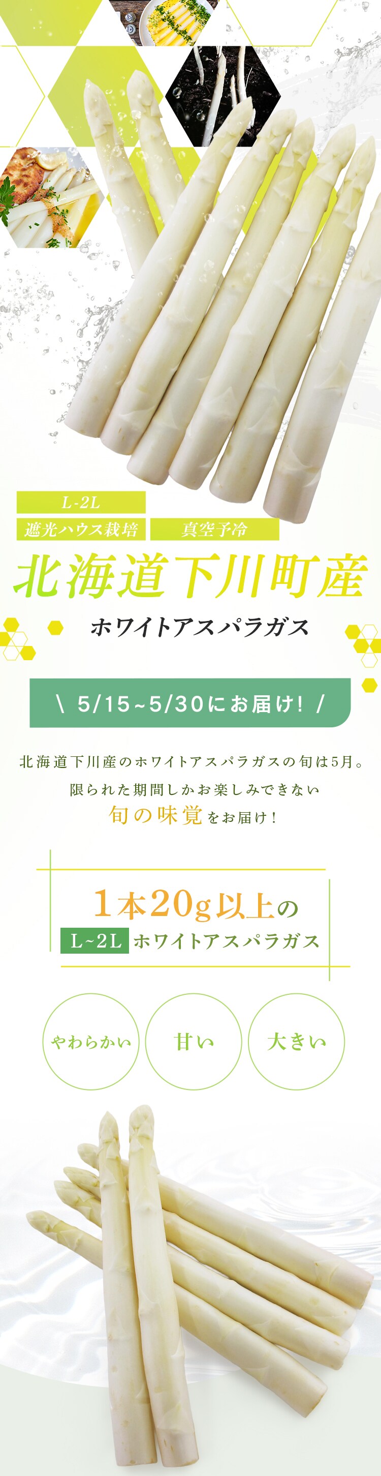 【15％OFFクーポン！】下川産ホワイトアスパラガス1kg （500ｇ&times;2） 【時間指定不可】【代引不可】【同梱不可】0