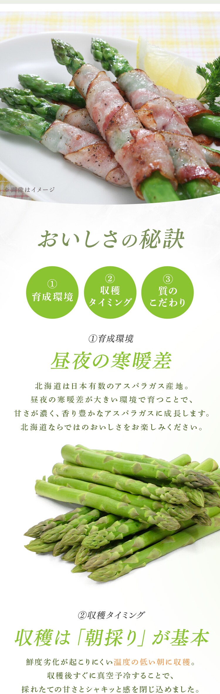 北海道産グリーンアスパラガス500ｇ、興部ベーコンスライス80ｇ&times;2（北海道産豚肉使用） 【時間指定不可】【代引不可】【同梱不可】1