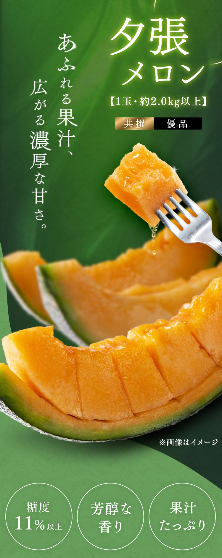 夕張産赤肉メロン1玉(1玉2.0kg以上)1