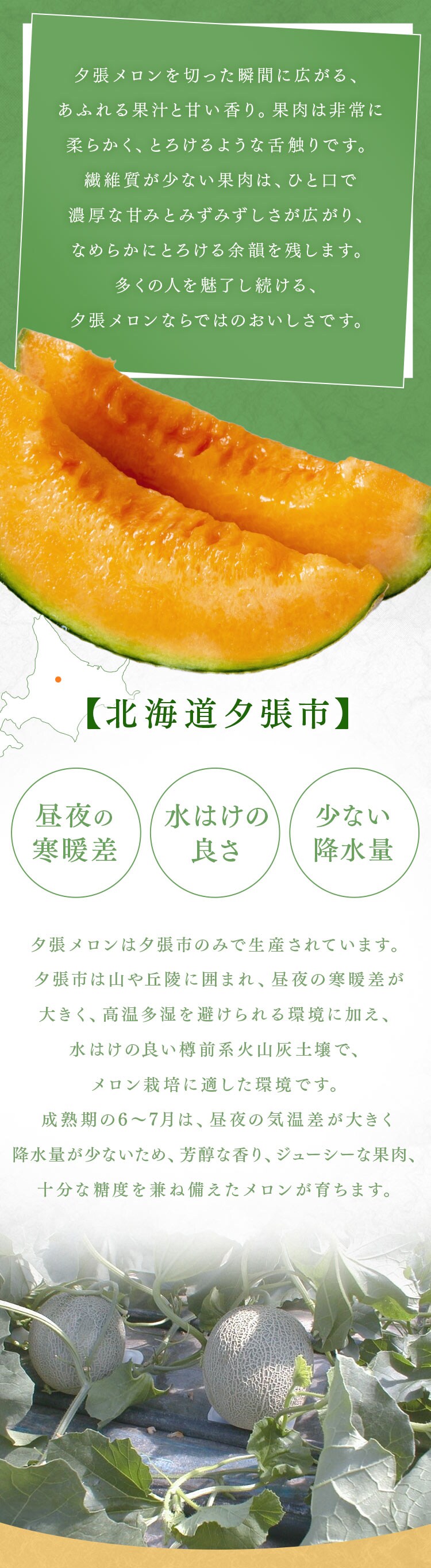 夕張産赤肉メロン1玉(1玉2.0kg以上)2