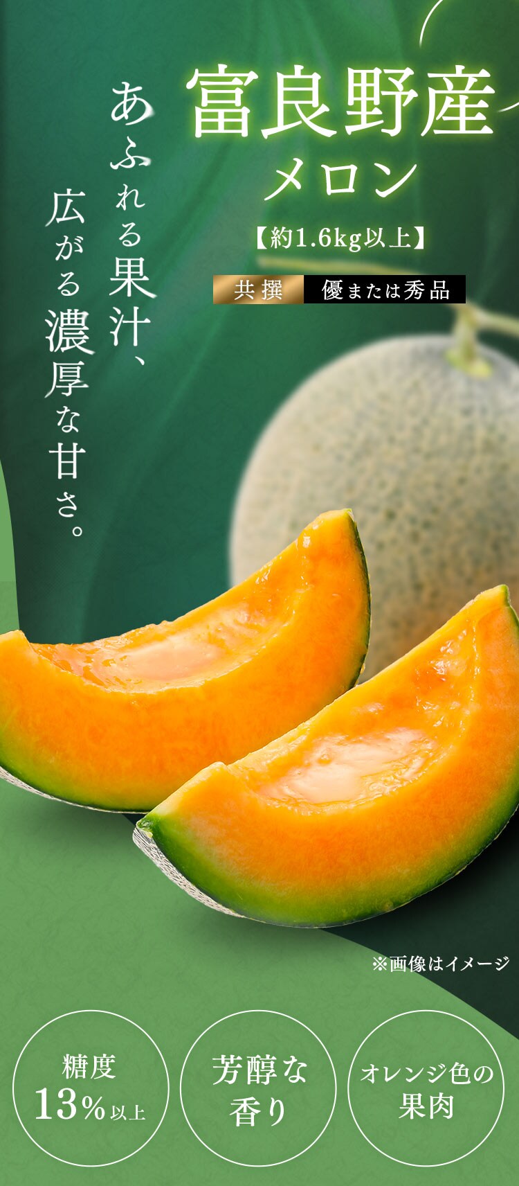 富良野産赤肉メロン1玉(1玉約1.6kg以上)1