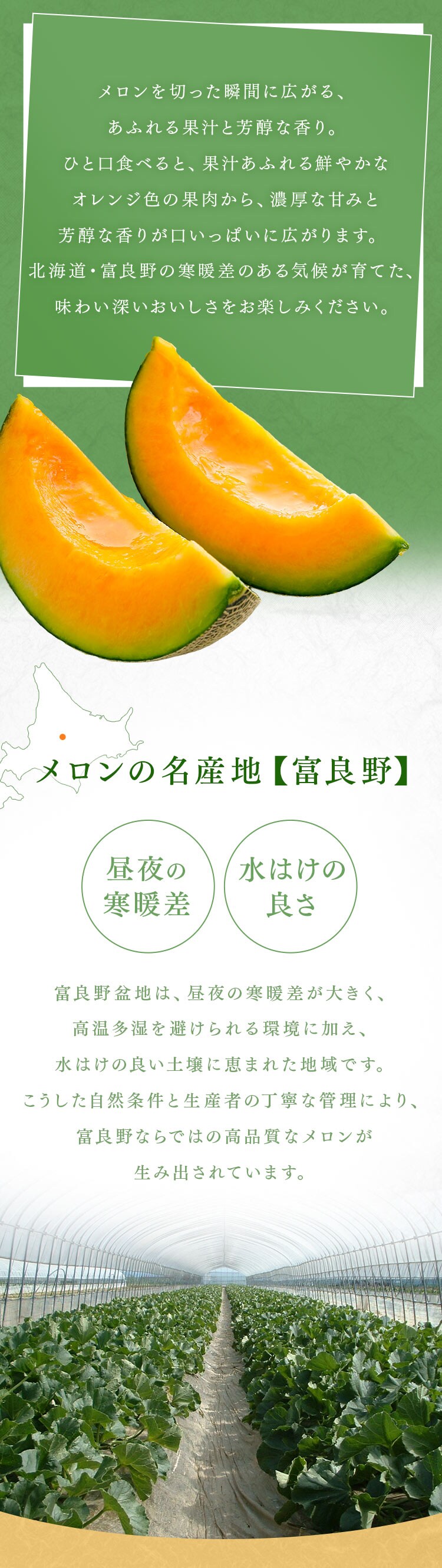 富良野産赤肉メロン1玉(1玉約1.6kg以上)2