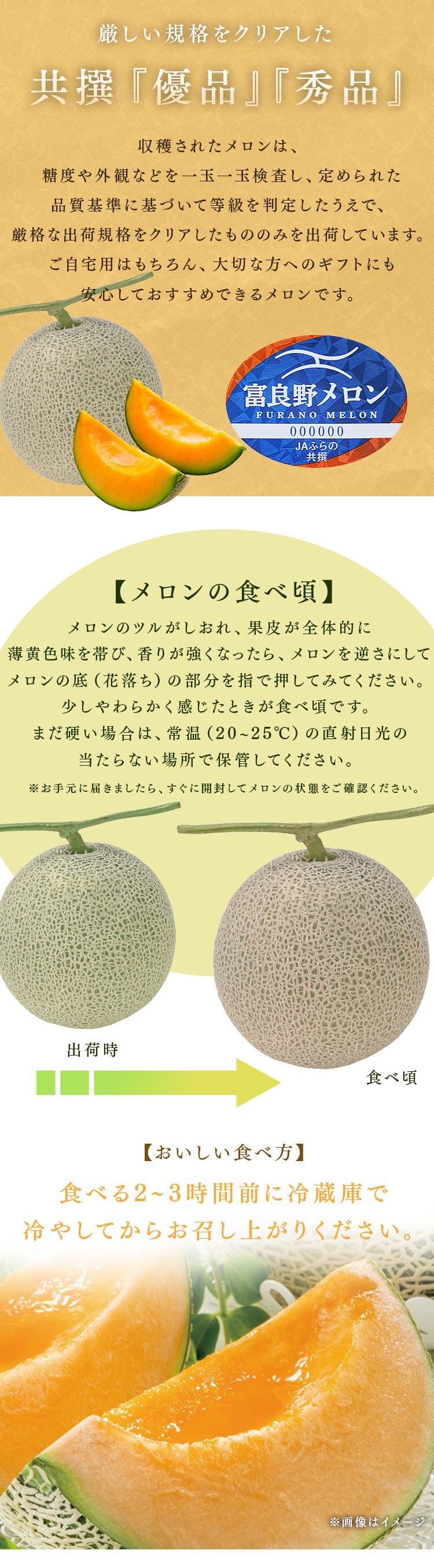 富良野産赤肉メロン1玉(1玉約1.6kg以上)3