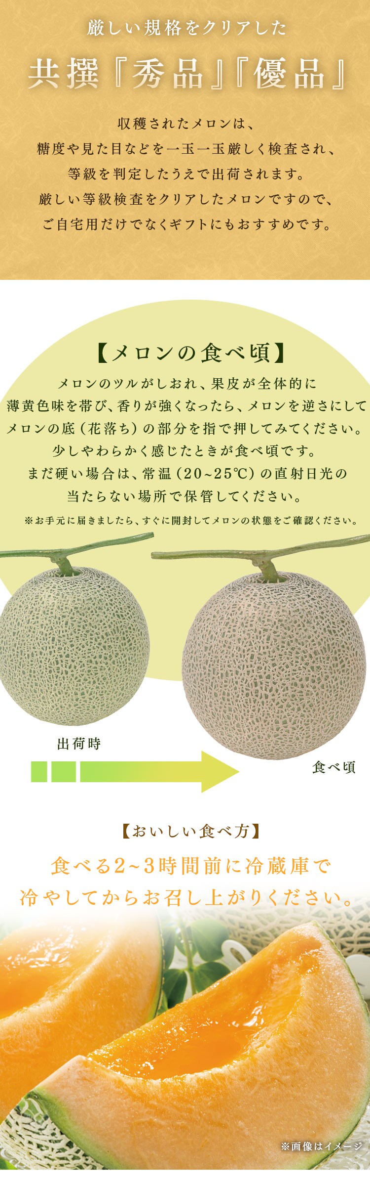 北海道産赤肉メロン1玉(1玉約1.6kg以上)3
