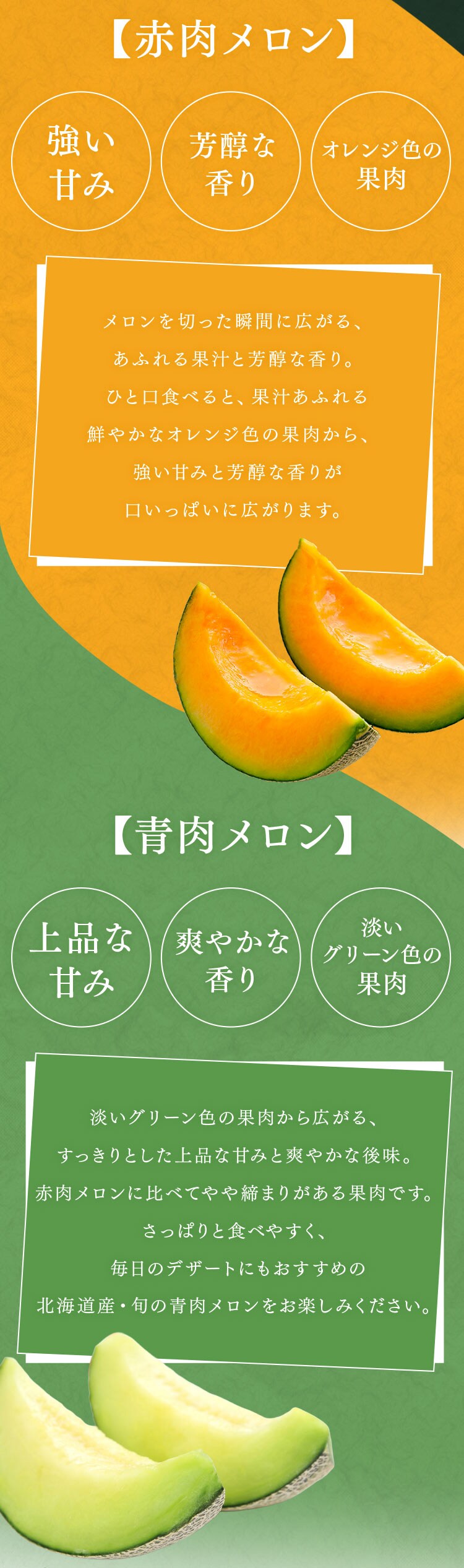 北海道産赤肉･青肉メロン 各1玉(1玉約1.3kg以上)2