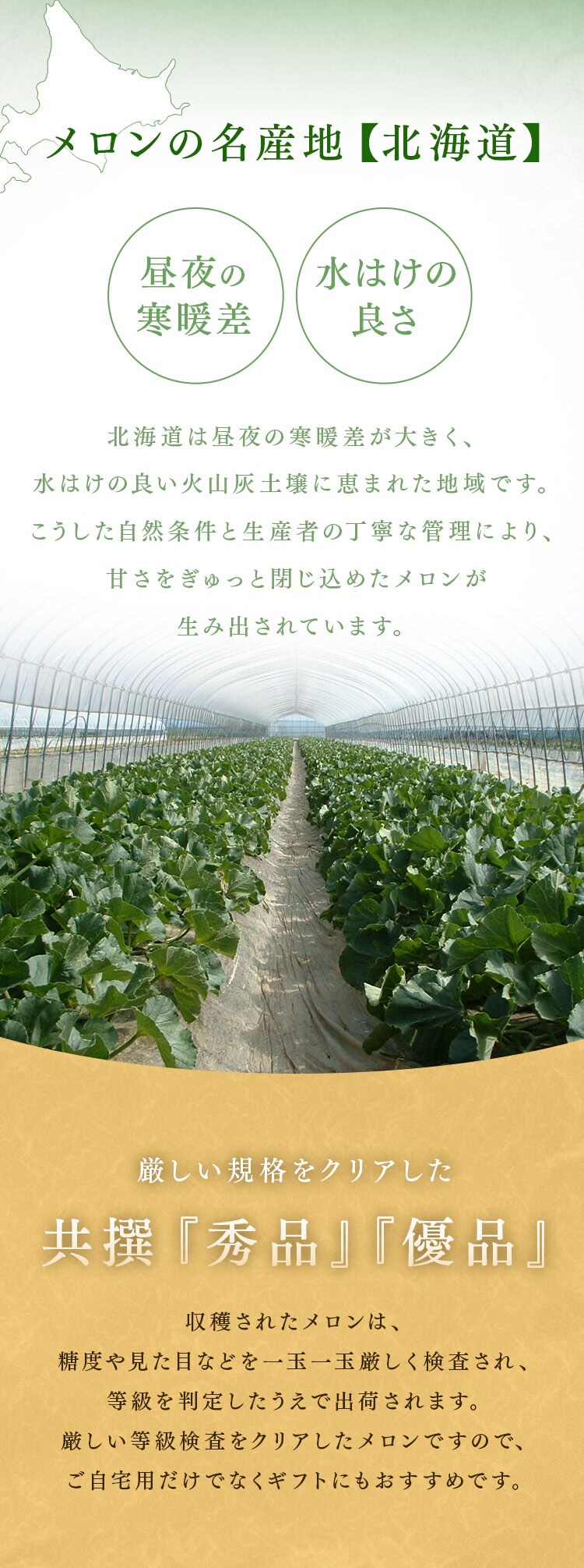 北海道産赤肉･青肉メロン 各1玉(1玉約1.3kg以上)3