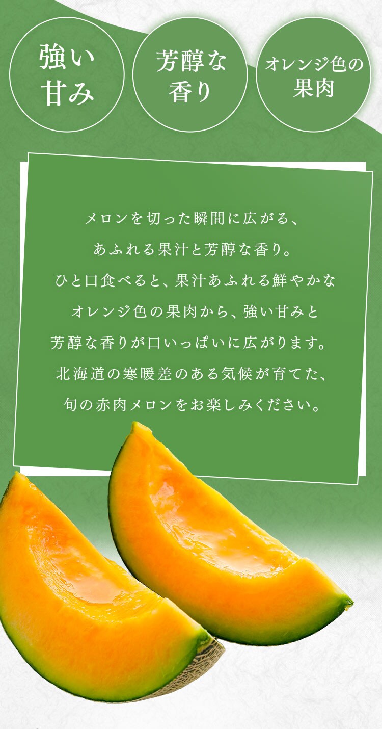 【訳あり】北海道産赤肉メロン2玉(1玉約1.3kg以上)2