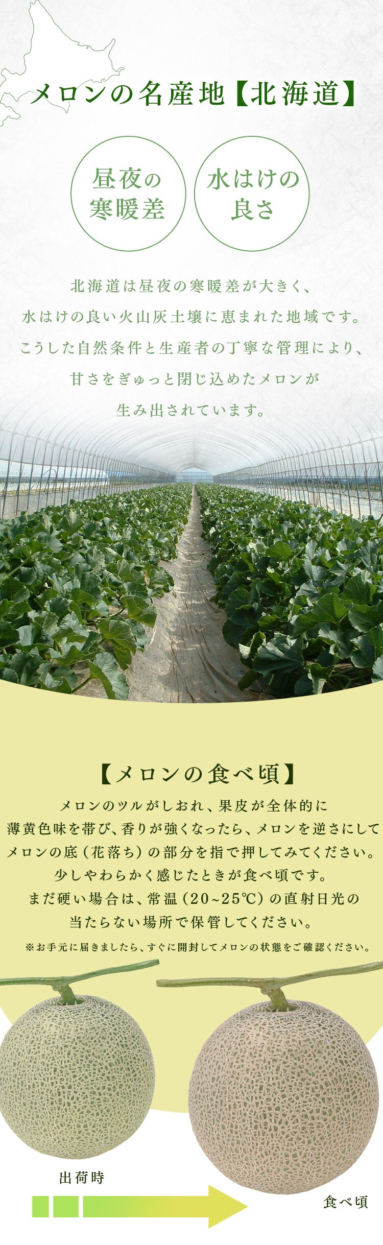 【訳あり】北海道産赤肉メロン2玉(1玉約1.3kg以上)3