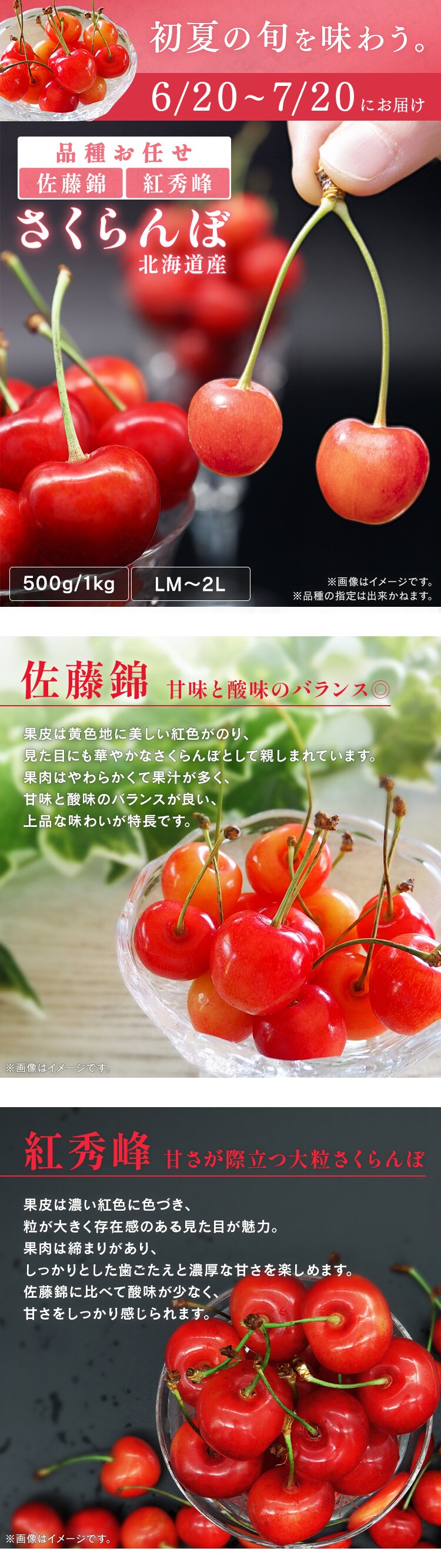 北海道産さくらんぼ1kg（500g&times;2） 【時間指定不可】【代引不可】【同梱不可】【プラザセレクト】0