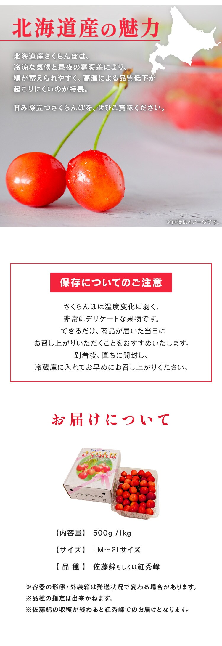 北海道産さくらんぼ1kg（500g&times;2） 【時間指定不可】【代引不可】【同梱不可】【プラザセレクト】1